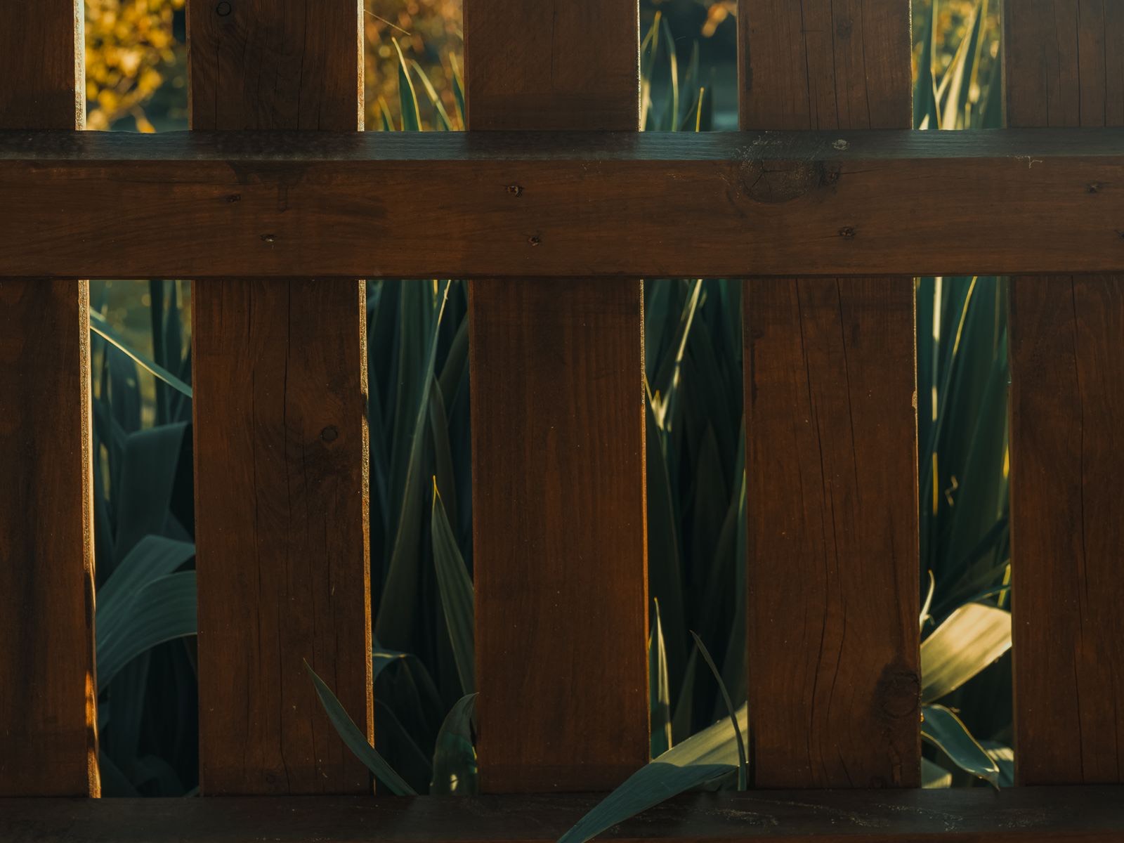 Fencing & Boundary Systems
