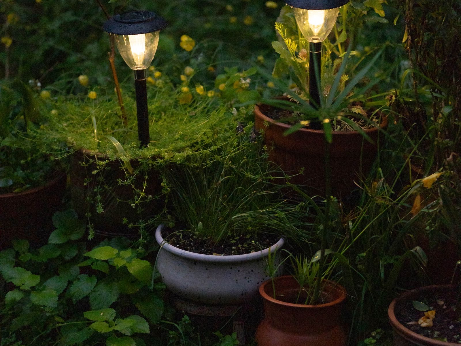 Exterior Lighting Infrastructure